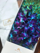 A close-up image of a blue orchid flower arrangement in a white marble box from Vancouver's Box Des Fleurs. The arrangement features several blue orchids with lush green leaves, perfectly complemented by the white marble box. This elegant arrangement makes a great gift for a baby shower, Mother's Day, or any special occasion. Order now for fresh, handcrafted flowers from Vancouver's premier florist.